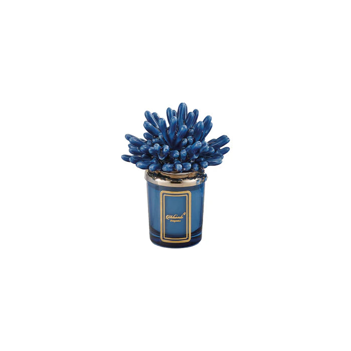 CANDELA CORALLO BLU - MELAVERDE