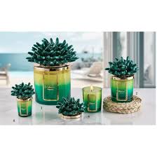 Candela Anemone verde-lime MELAVERDE