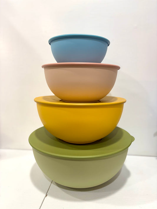 SET 4 CONTENITORI EVERYWHERE CON COPERCHIO- GUZZINI