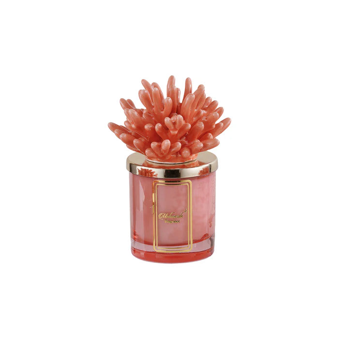 CANDELA CORALLO PESCA - MELAVERDE