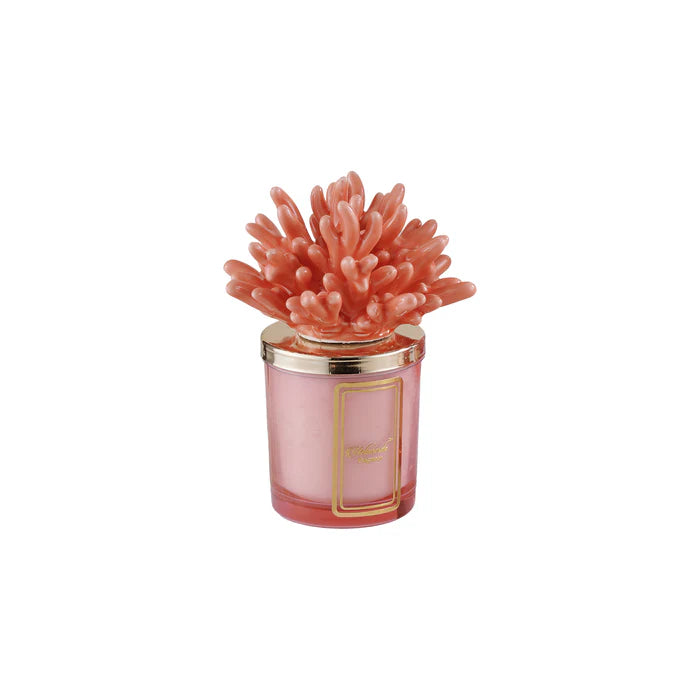 CANDELA CORALLO PESCA - MELAVERDE
