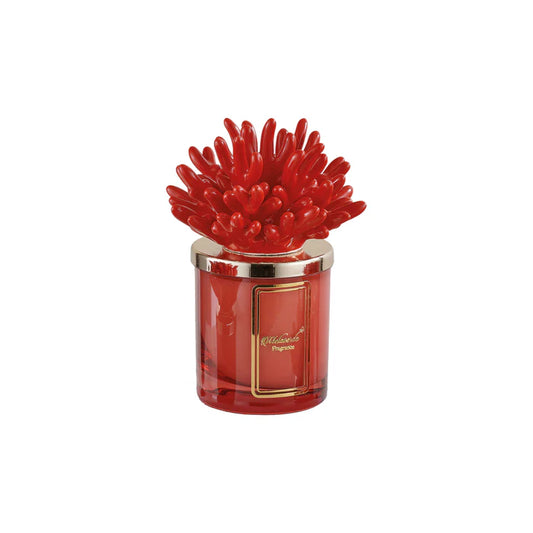 CANDELA CORALLO ROSSO - MELAVERDE