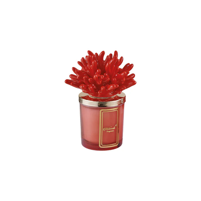 CANDELA CORALLO ROSSO - MELAVERDE
