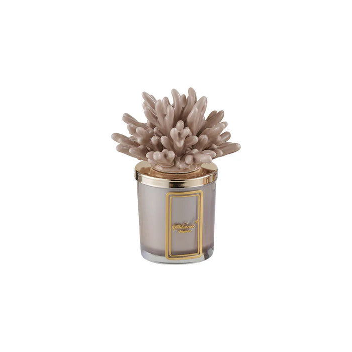 CANDELA CORALLO TORTORA - MELAVERDE